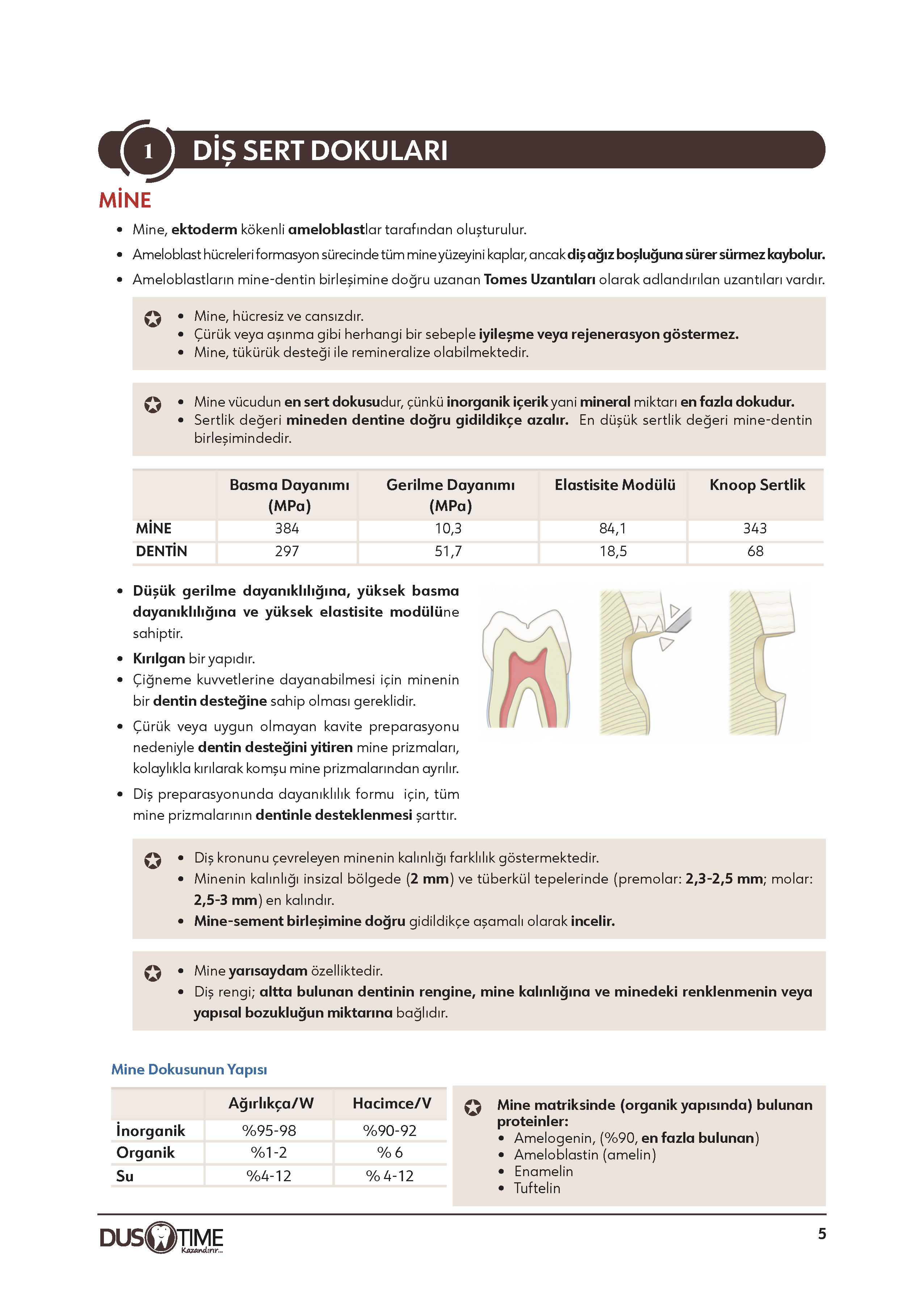 Restoratif Diş Tedavisi