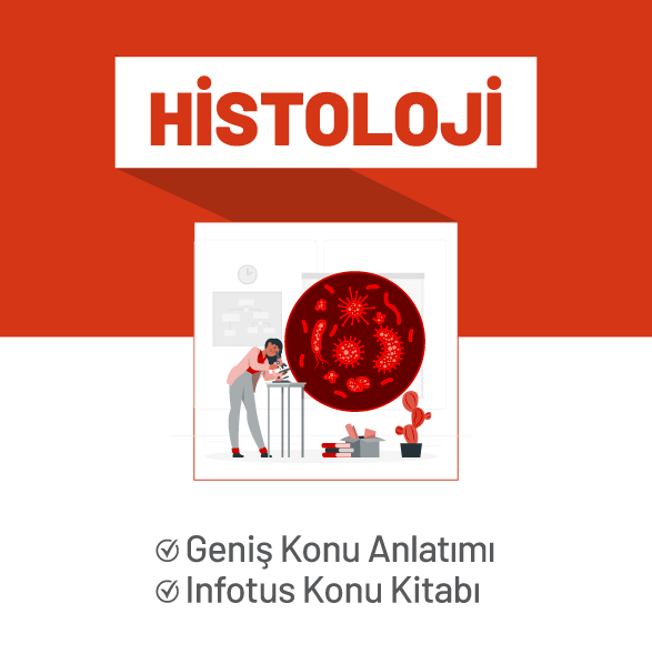 Histoloji&Embriyoloji