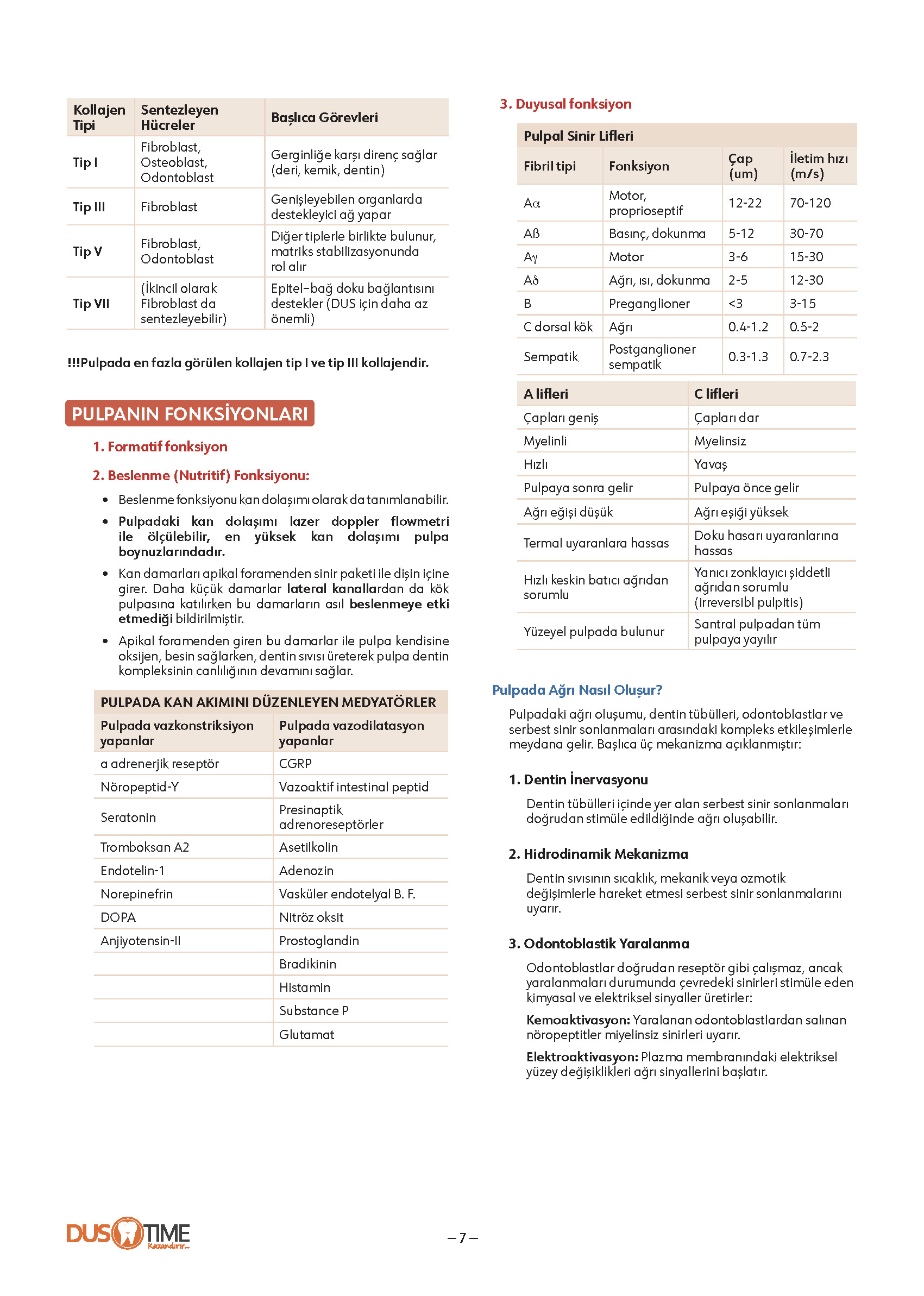 FastWay Endodonti