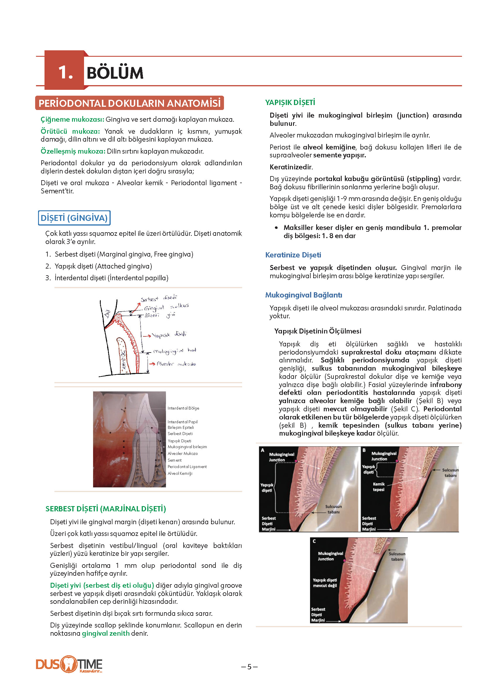 FastWay Periodontoloji