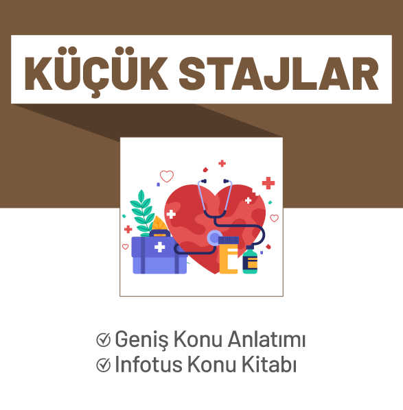 Küçük Stajlar