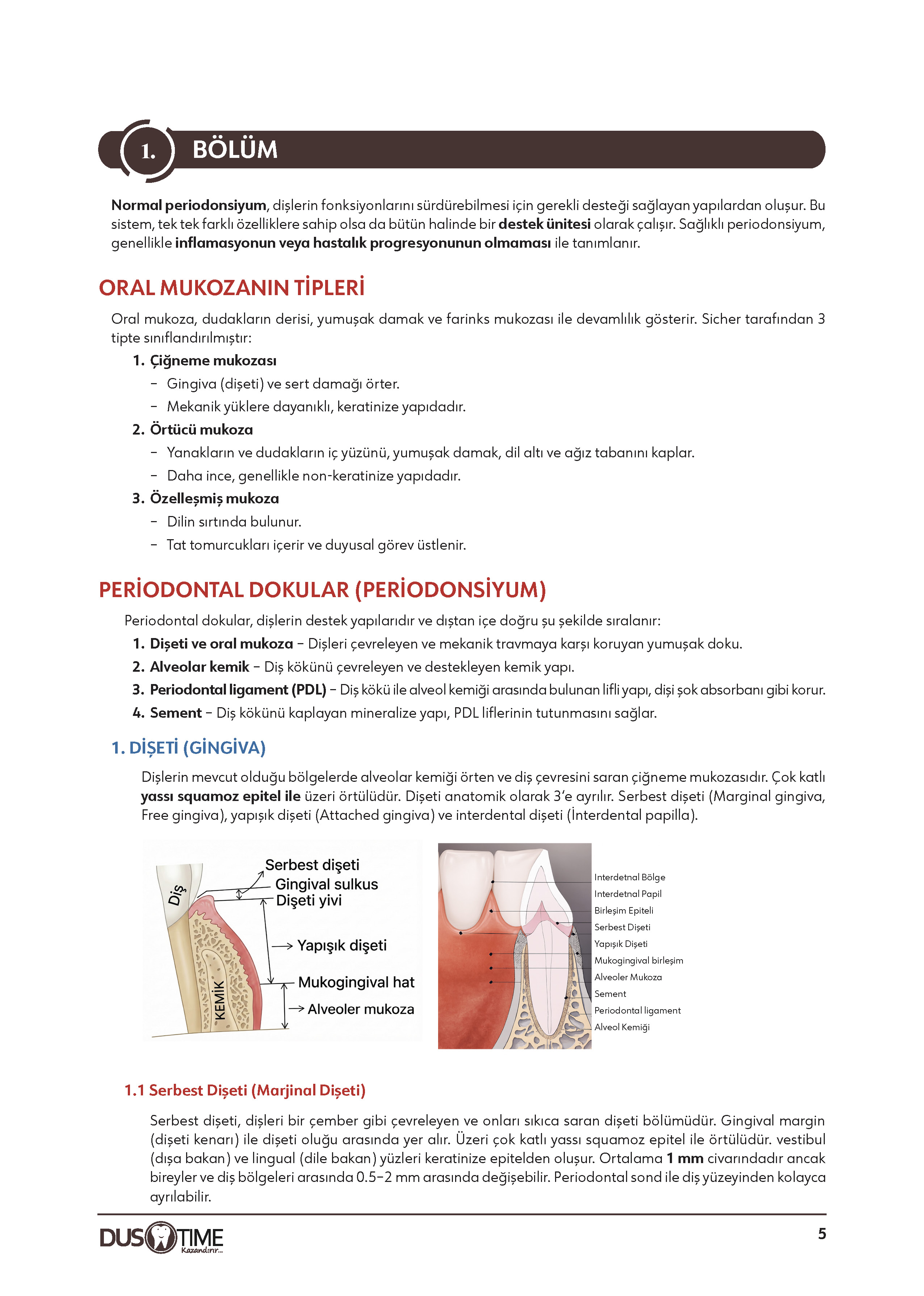 Periodontoloji