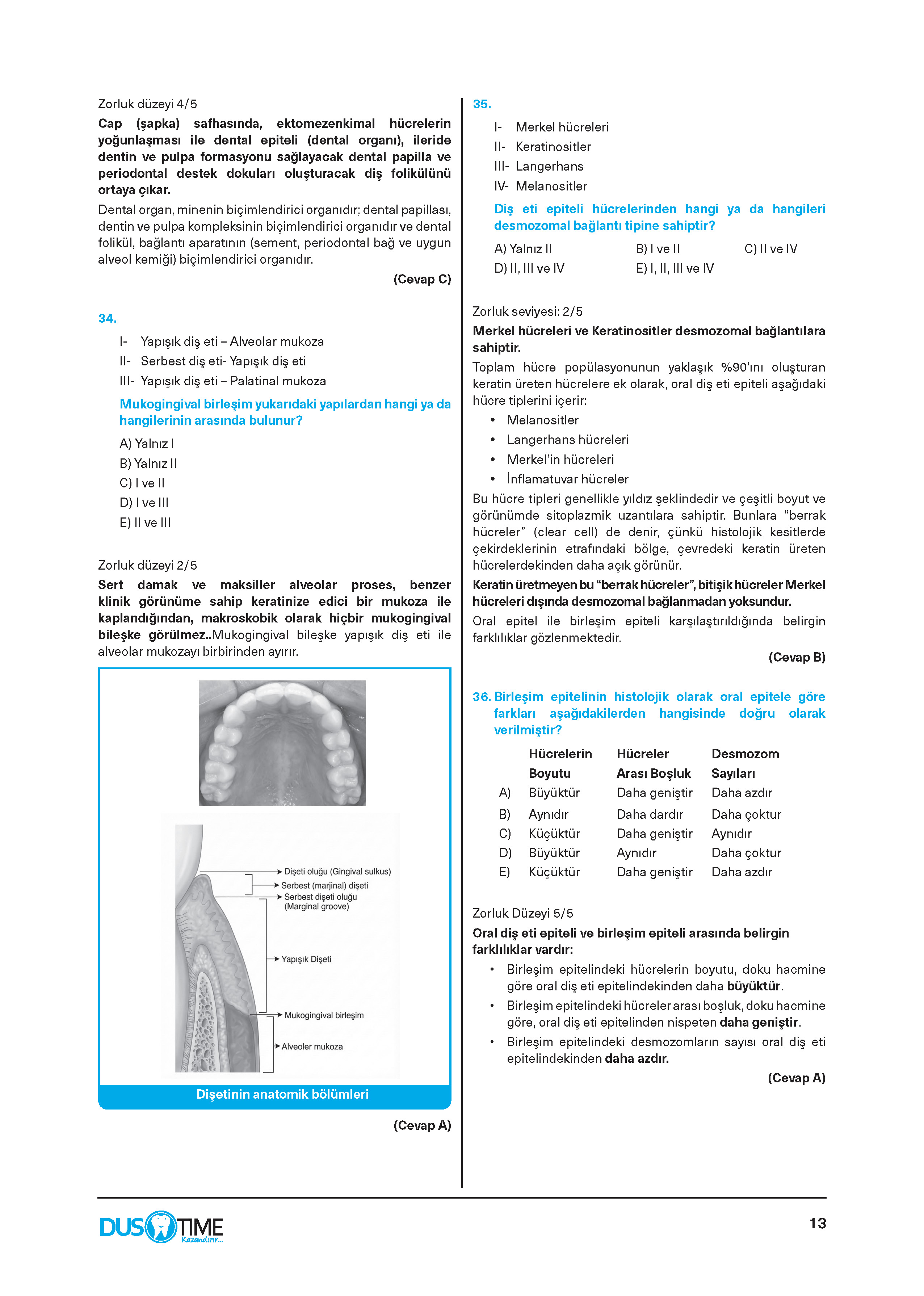 Periodontoloji Soru Bankası