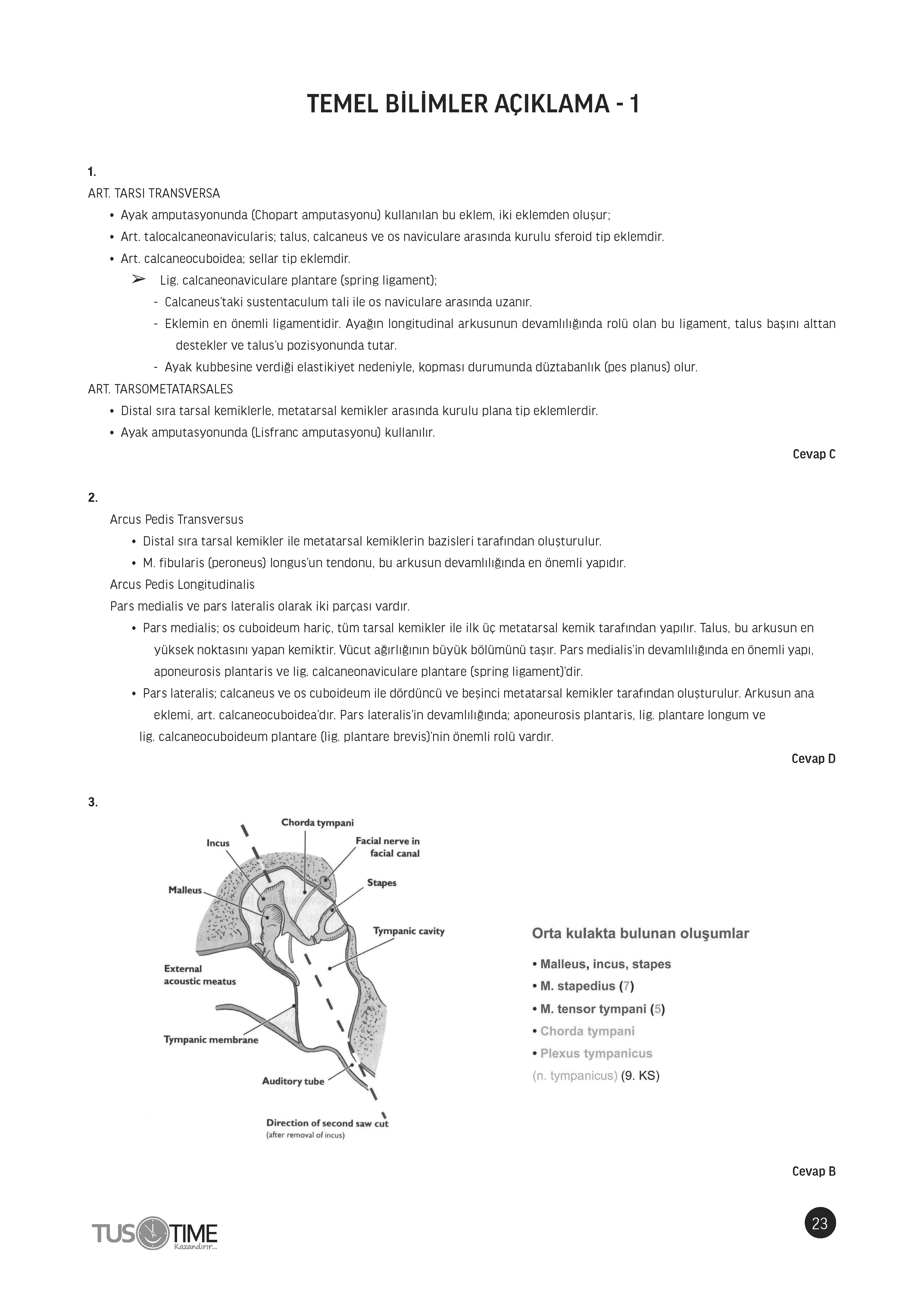 Deneme Serisi 200/1