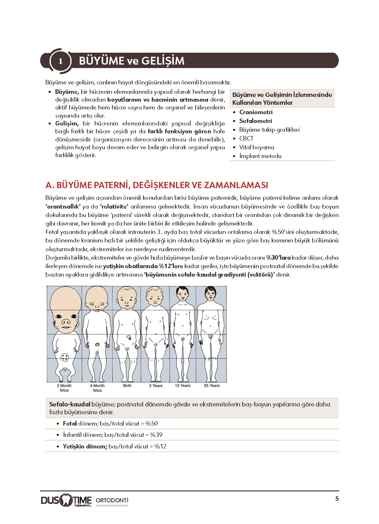 Ortodonti