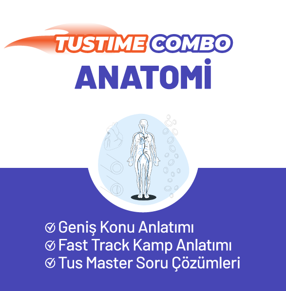 Anatomi Combo