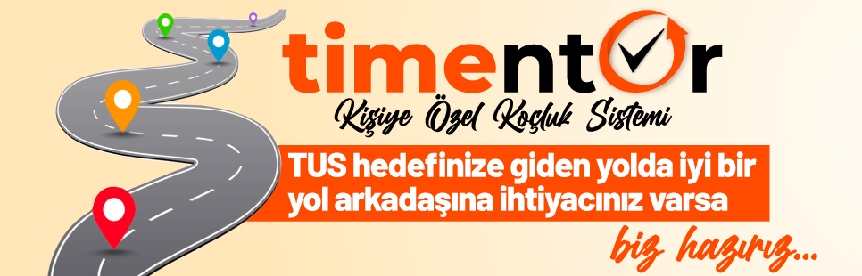 TIMENTOR
