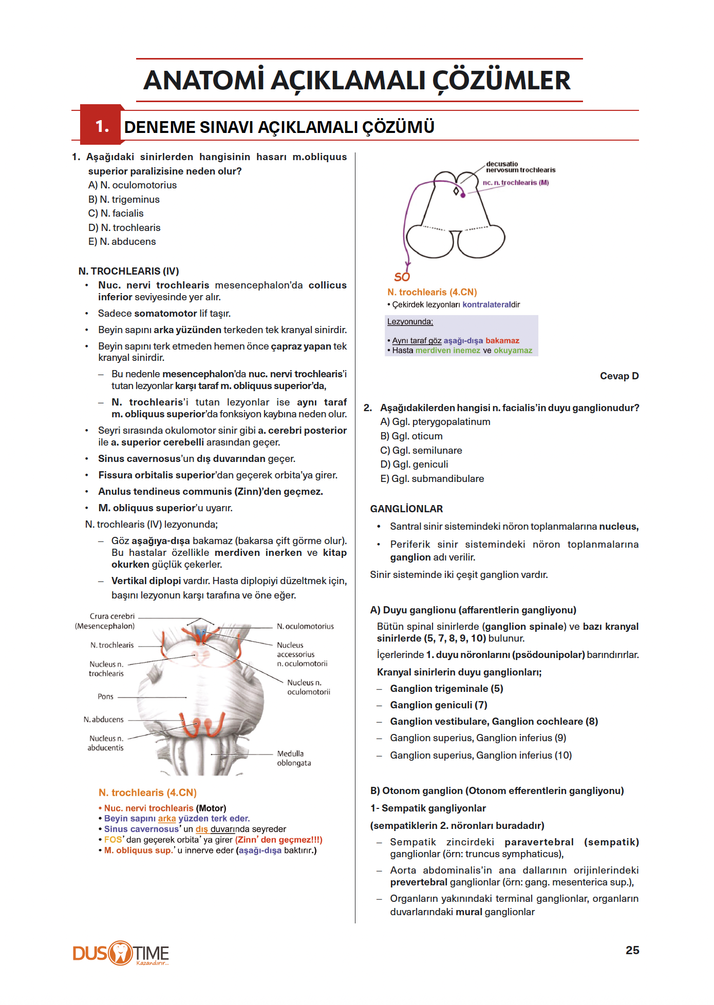 Anatomi-Farmakoloji Branş Denemeleri