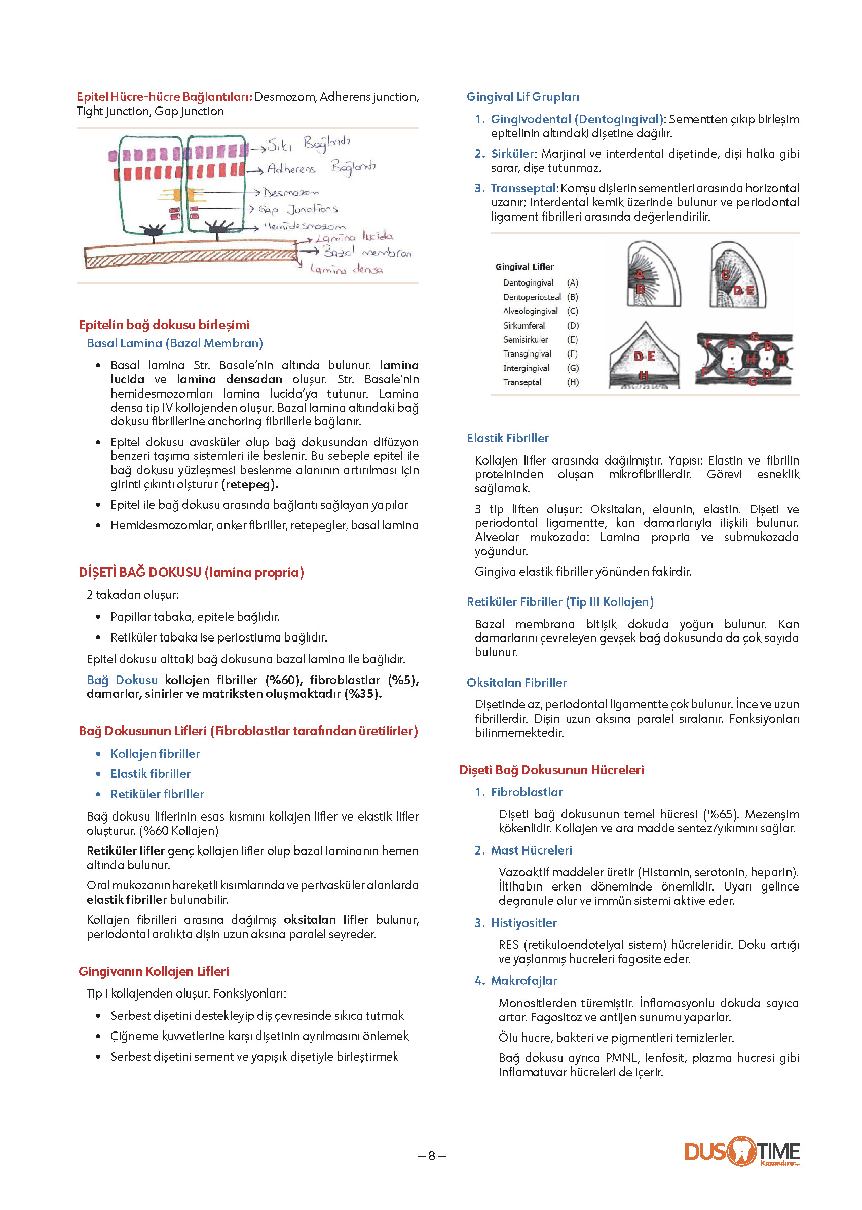 FastWay Periodontoloji