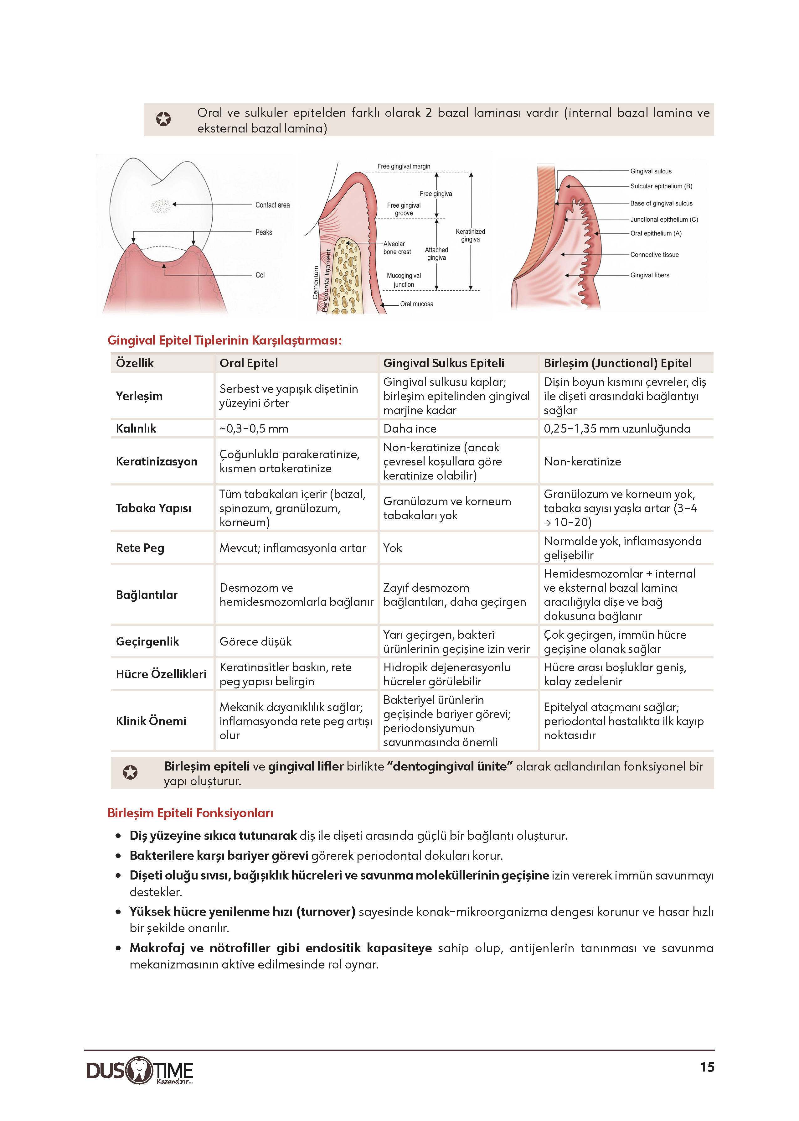 Periodontoloji