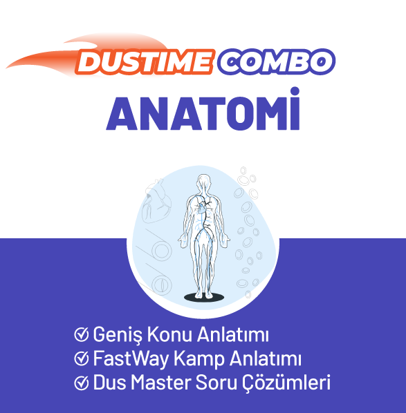 Anatomi Combo