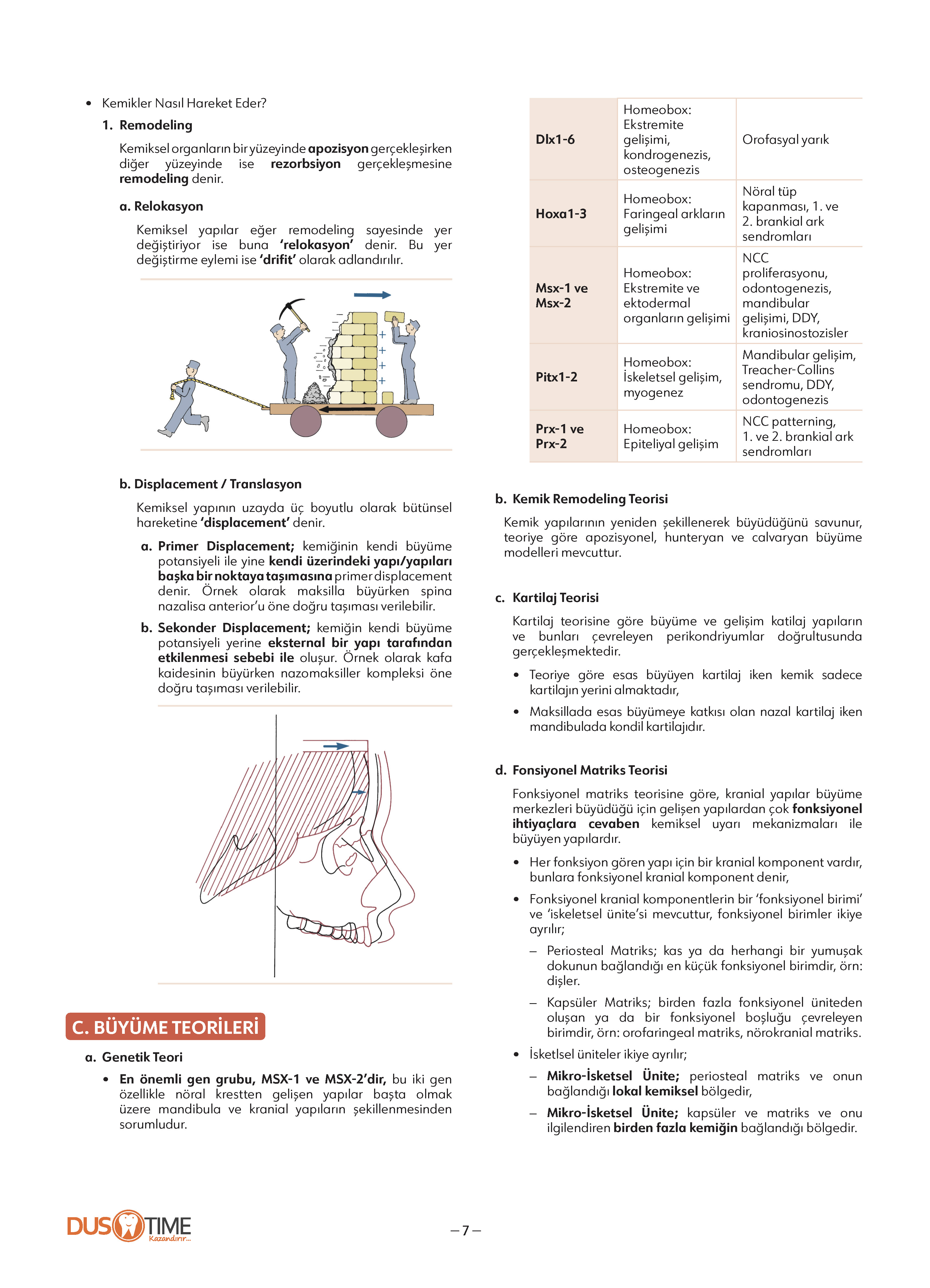 FastWay Ortodonti
