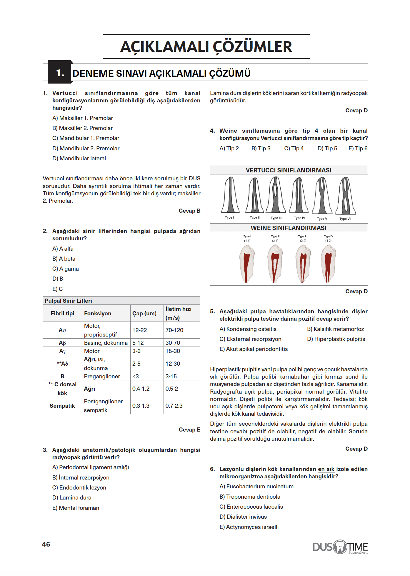 Endodonti Branş Denemeleri