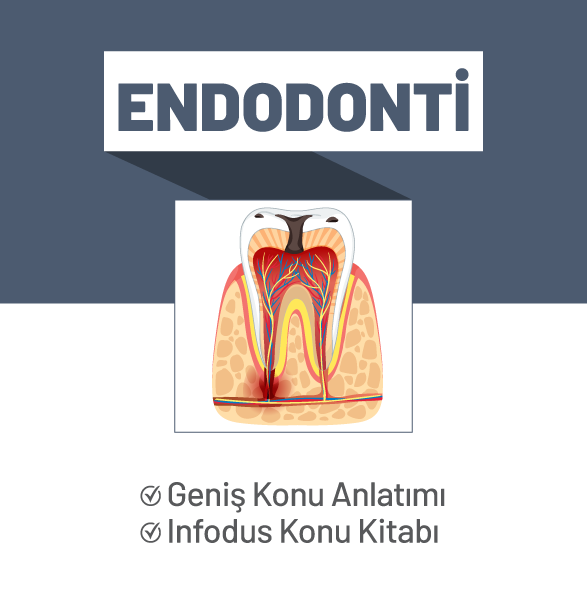Endodonti
