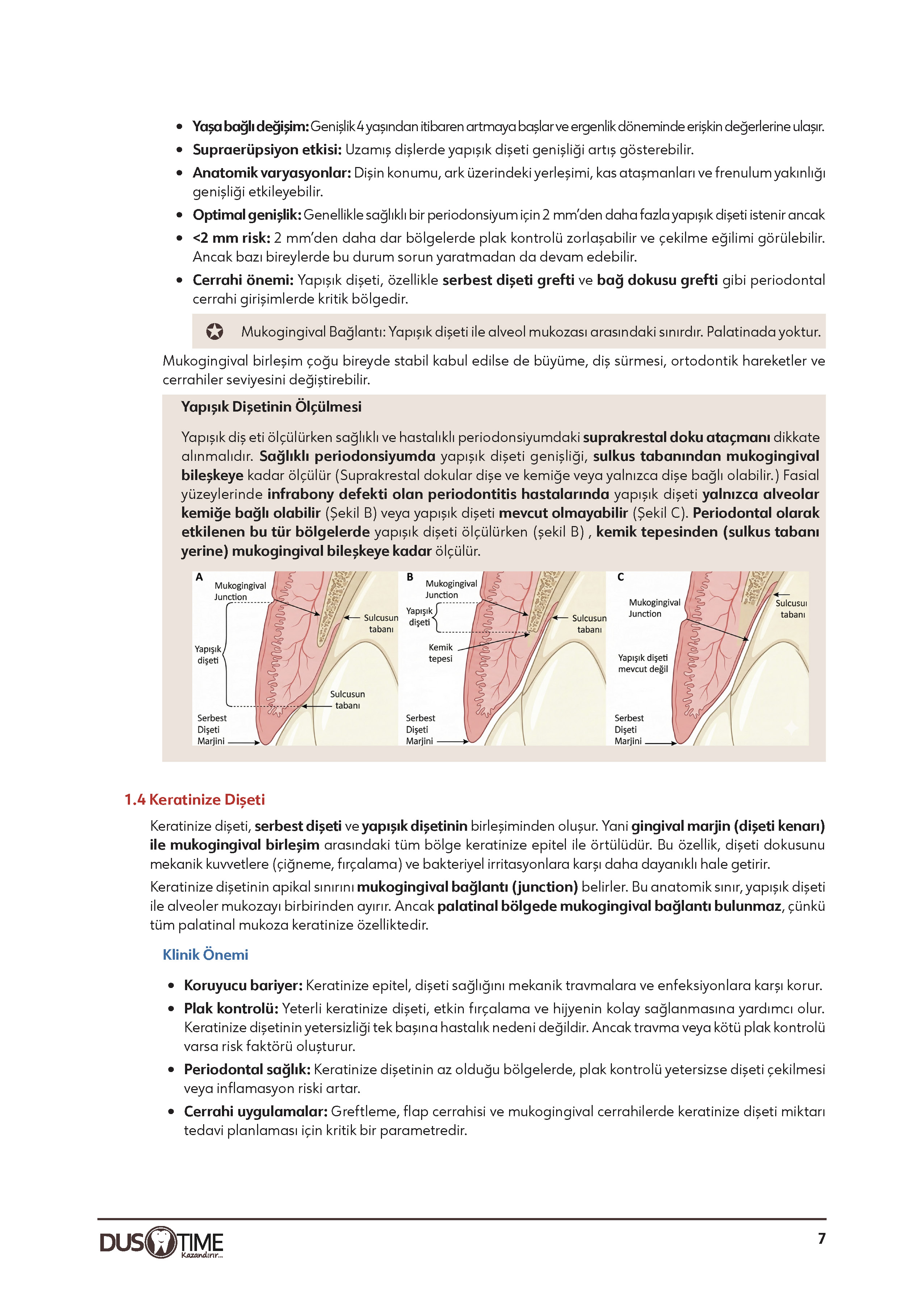 Periodontoloji