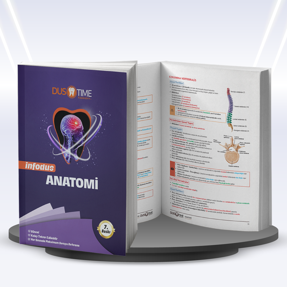 Anatomi